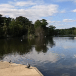 Highams Park Lake Chingford Rape Appeal