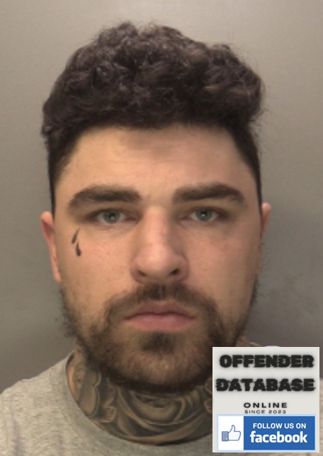 Ian Hogan aka Ian Flannery Limerick Rapist