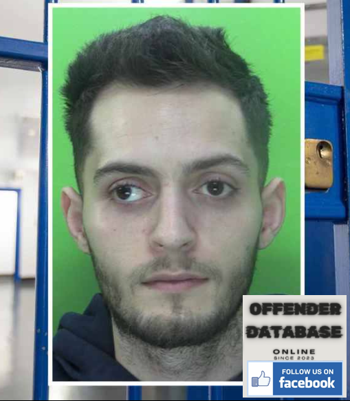 Ionel-Alexandru Paicu Nottinghamshire Rapist