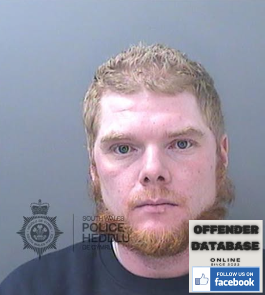 Lee Williams Cardiff Rapist