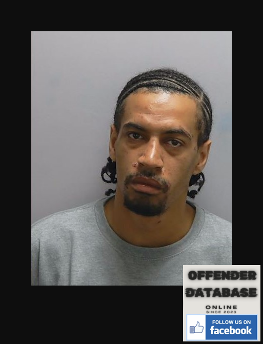 Levi Seriki-Walters Gosport Rapist