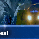 Brighton Rape Appeal