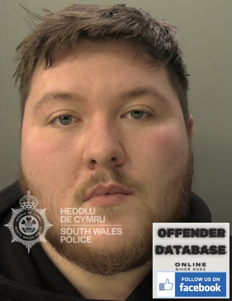 Rowan Barnett-Davies Hirwaun Paedophile and Sex Offender