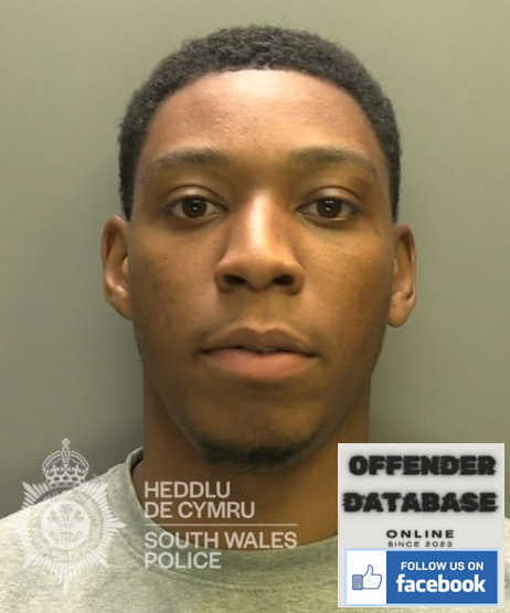 William Adesanya Penarth Rapist and Sex Offender