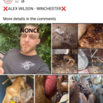 Alex Wilson Winchester Animal Torturer and Abuser