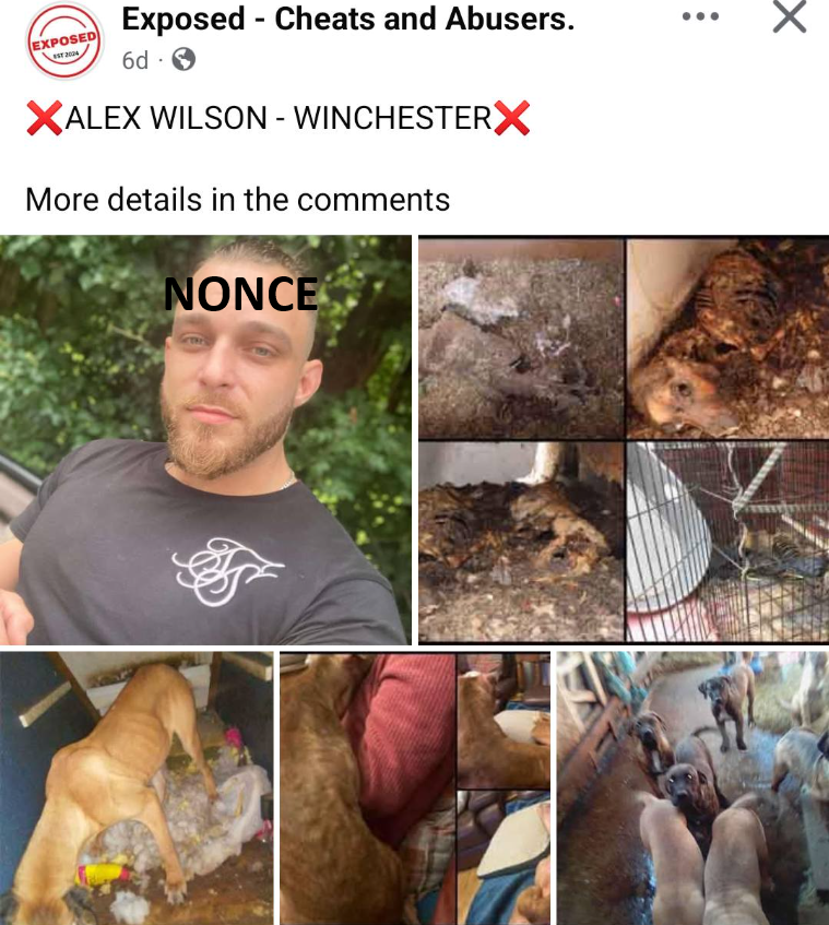 Alex Wilson Winchester NONCE Animal Torturer and Abuser Alex Wilson Winchester Animal Torturer and Abuser