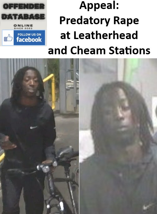 Appeal - Predatory Rape at Leatherhead and Cheam Stations