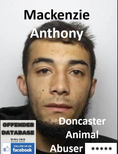 Mackenzie Anthony Doncaster Animal Abuser Domestic Abuser Mackenzie Anthony Doncaster Animal Abuser Domestic Abuser