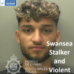 Saman Ismail Swansea Stalker and Violent Offender