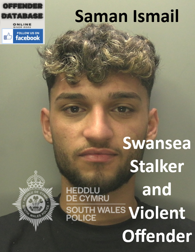Saman Ismail Swansea Stalker and Violent Offender