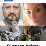 Zoe Graham and Lee Lock Swansea Animal Abuser Sex Offenders