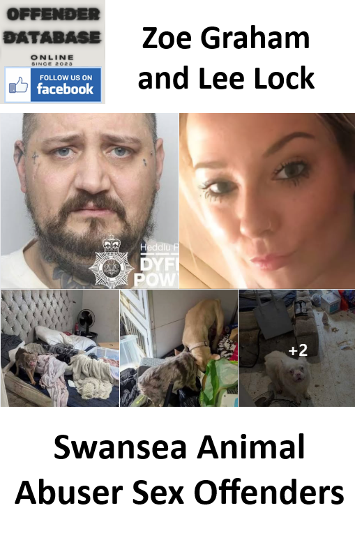 Zoe Graham and Lee Lock Swansea Animal Abuser Sex Offenders