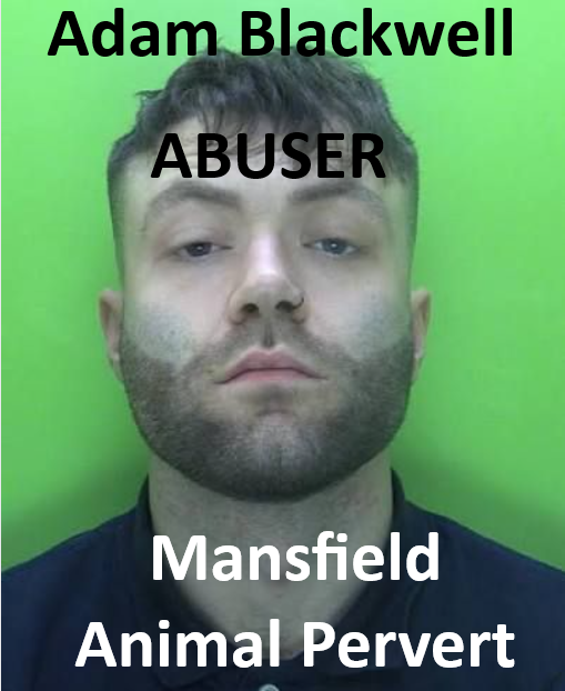 Adam Blackwell Mansfield Animal Abuser and Pervert