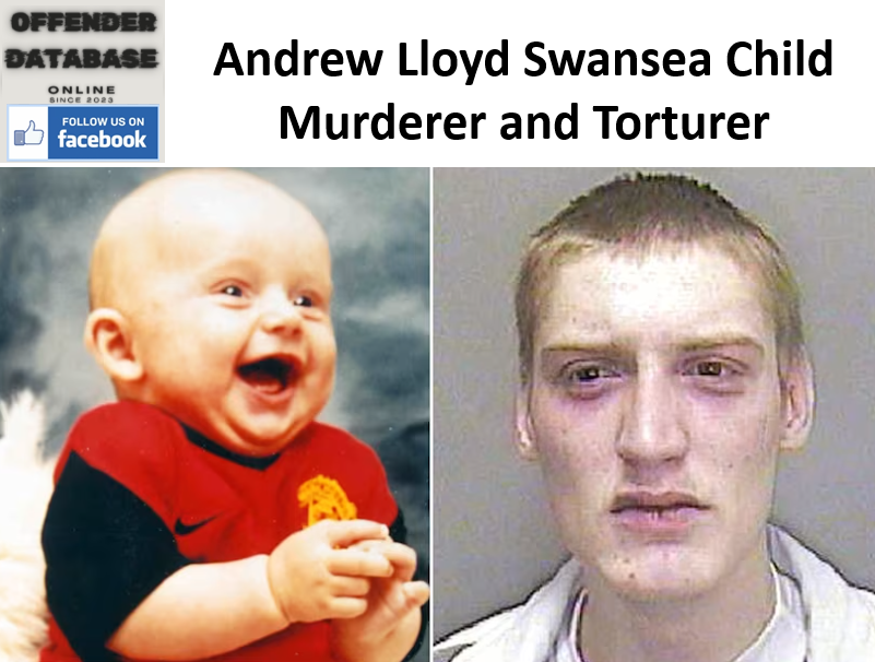 Andrew Lloyd Swansea Child Murderer and Torturer
