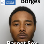 Igor Borges Barnet Sex Offender