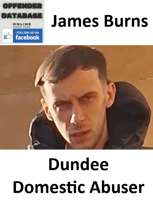 James Burns Dundee Domestic Abuser