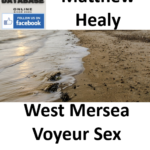 Matthew Healy West Mersea Voyeur Sex Offender