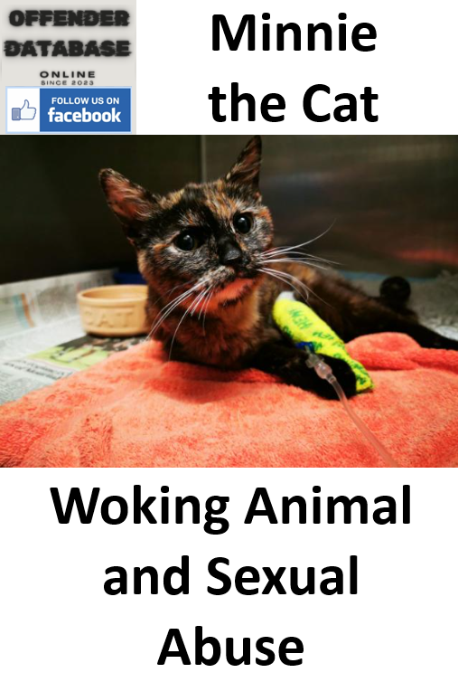 The Case of Minnie the Cat Woking Animal and Sexual Abuse The Case of Minnie the Cat Woking Animal and Sexual Abuse