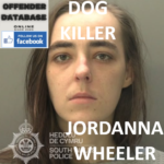 JORDANNA WHEELER SWANSEA ANIMAL ABUSER AND KILLER