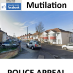 The Investigation into the Welling Cat Mutilation - POLICE APPEAL