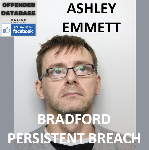 ASHLEY EMMETT BRADFORD PERSISTENT BREACH CONVICTION