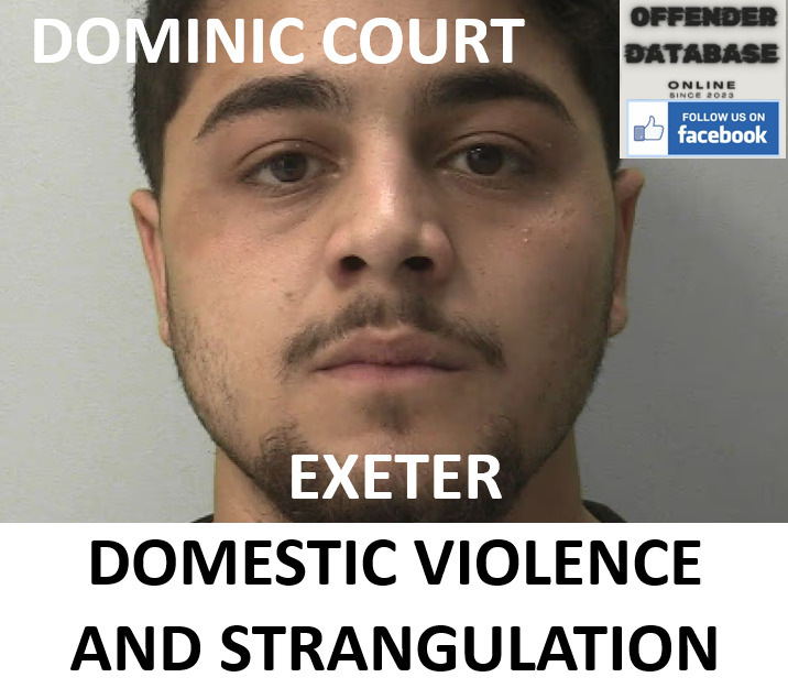 DOMINIC COURT EXETER DOMESTIC VIOLENCE AND STRANGULATION