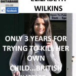 ELIZABETH WILKINS SOMERSET AND PLYMOUTH INFANT ATTEMPTED MURDER CASE