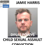JAMIE HARRIS DINAS POWYS CHILD SEXUAL ASSAULT CONVICTION