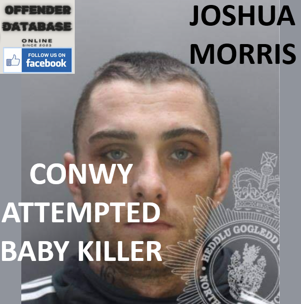 JOSHUA MORRIS CONWY ATTEMPTED BABY KILLER