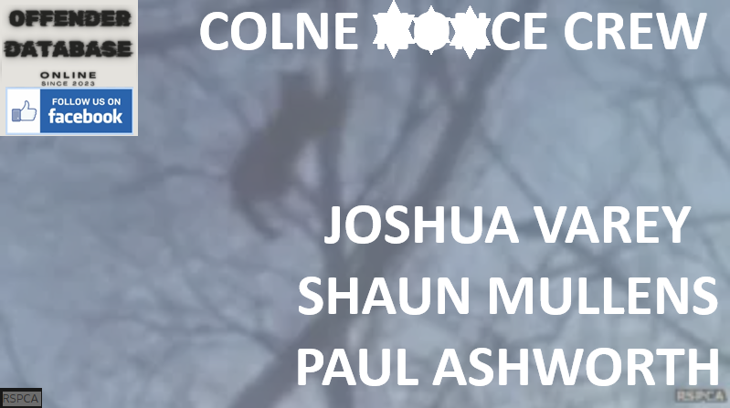 JOSHUA VAREY, SHAUN MULLENS, AND PAUL ASHWORTH COLNE ANIMAL ABUSERS