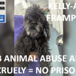 KELLY-ANN FRAMPTON NEWCASTLE ANIMAL CRUELTY CONVICTION