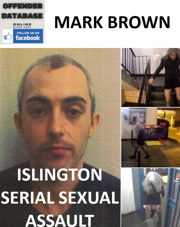 MARK BROWN ISLINGTON SERIAL SEXUAL ASSAULT CONVICTION