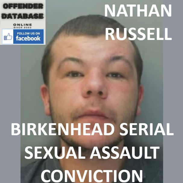NATHAN RUSSELL BIRKENHEAD SERIAL SEXUAL ASSAULT CONVICTION