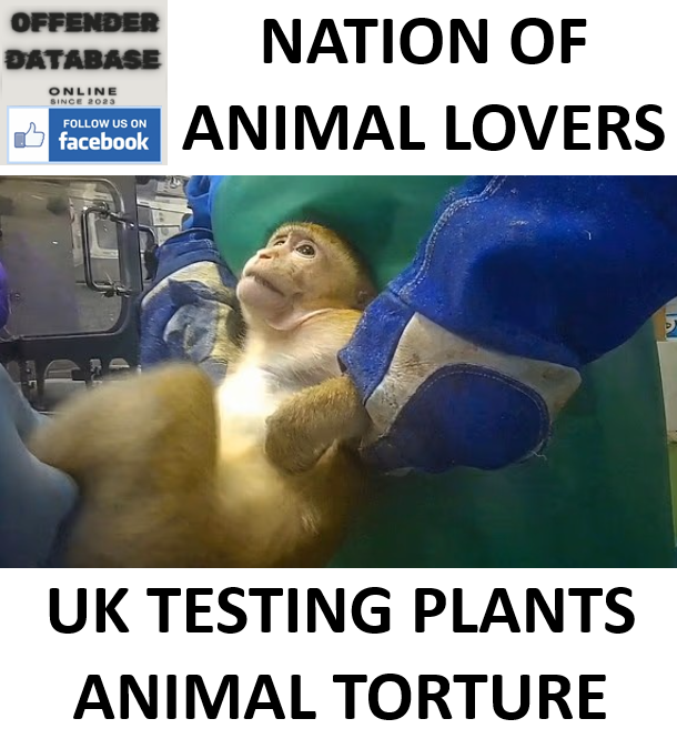 UNDERCOVER FOOTAGE REVEALS ANIMAL TESTING FOR WEIGHT-LOSS DRUGS