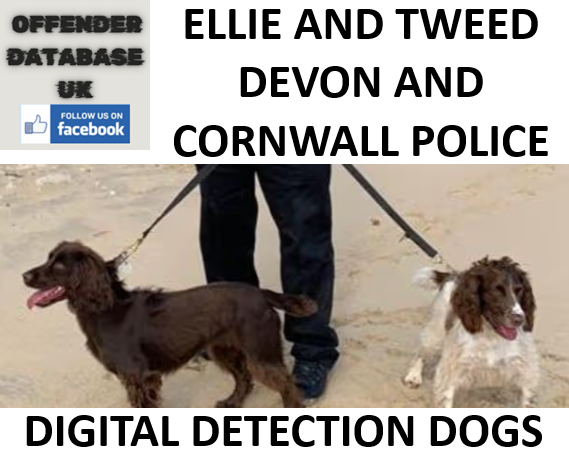 ELLIE AND TWEED DEVON AND CORNWALL POLICE DIGITAL DETECTION DOGS ELLIE AND TWEED DEVON AND CORNWALL POLICE DIGITAL DETECTION DOGS