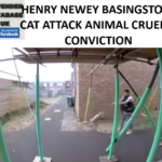HENRY NEWEY BASINGSTOKE CAT ATTACK ANIMAL CRUELTY CONVICTION