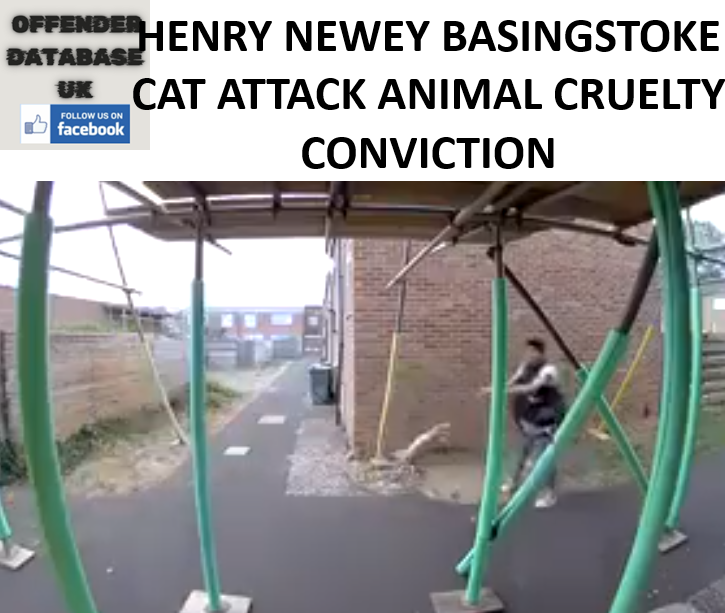 HENRY NEWEY BASINGSTOKE CAT ATTACK ANIMAL CRUELTY CONVICTION HENRY NEWEY BASINGSTOKE CAT ATTACK ANIMAL CRUELTY CONVICTION