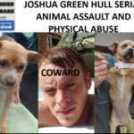 JOSHUA GREEN HULL SERIAL ANIMAL ASSAULT AND PHYSICAL ABUSE