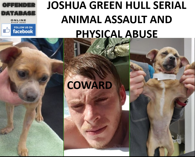 JOSHUA GREEN HULL SERIAL ANIMAL ASSAULT AND PHYSICAL ABUSE