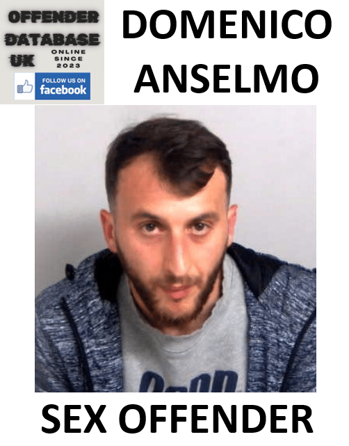 domenico anselmo convicted sex offender domenico anselmo convicted sex offender
