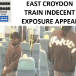 CLAPHAM JUNCTION TO EAST CROYDON TRAIN EXPOSURE SUSPECT