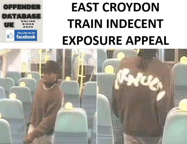 CLAPHAM JUNCTION TO EAST CROYDON TRAIN EXPOSURE SUSPECT