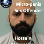 hossein mohmoudi migrant micro penis sex offender