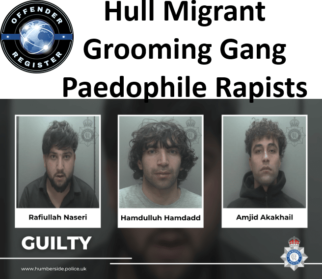 hull migrant grooming gang paedophile rapists