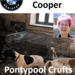 lynda cooper pontypool crufts animal abuser