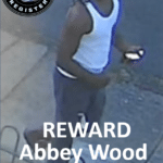 abbey wood rape appeal south london black male cctv