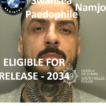 ali namjo swansea paedophile child rapist