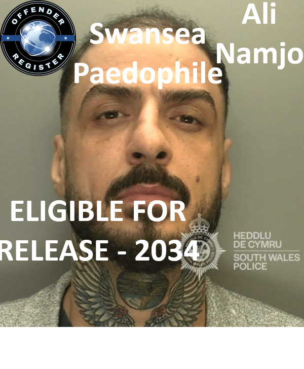 ali namjo swansea paedophile child rapist