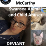 Annasha McCarthy Swansea Animal and Child Abuser