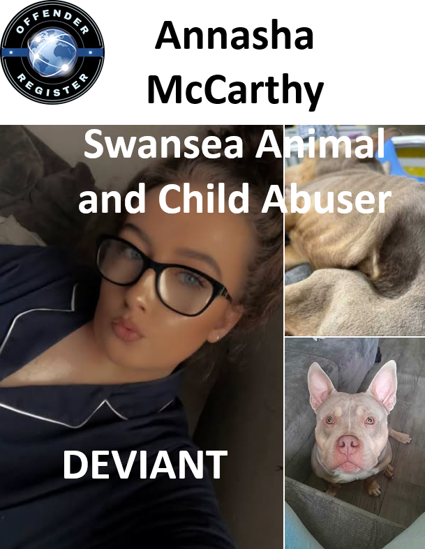 Annasha McCarthy Swansea Animal and Child Abuser